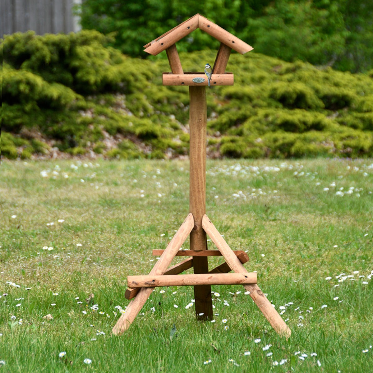 MANGIATOIA CON TETTO RIALZATA SU SUPPORTO