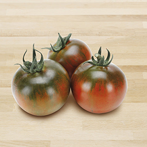 15 PIANTE IN VASO Ø10CM DI POMODORO NERO TIPO CAMONE SARDO QUINTO GUSTO
