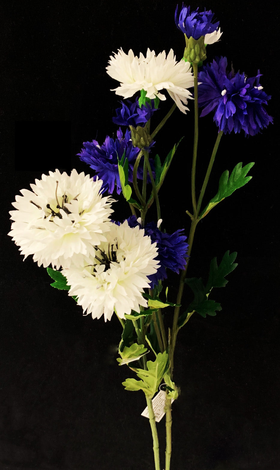 MAZZOLINO DI FIORDALISO BIANCHI E BLU PER COMPOSIZIONI 60CM