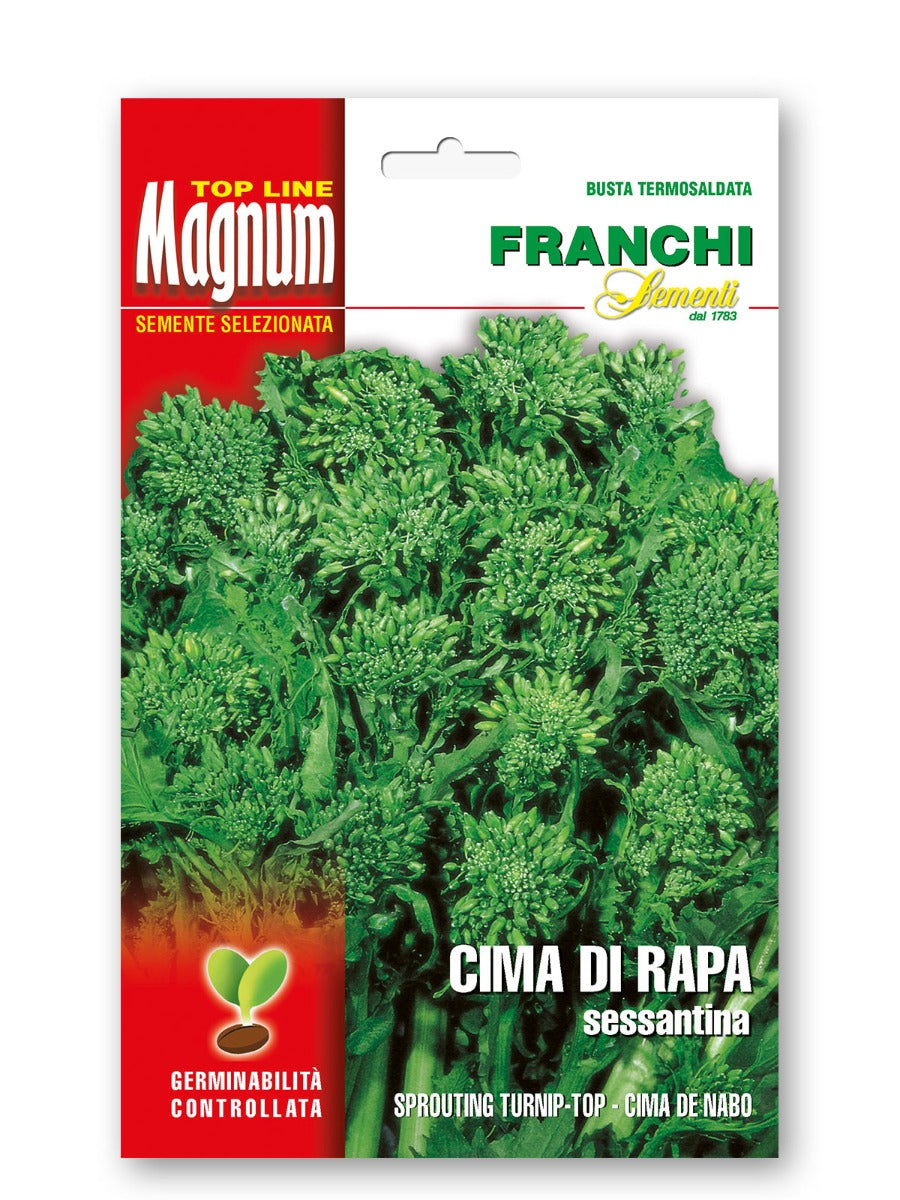 SEMI DI CIMA DI RAPA SESSANTINA