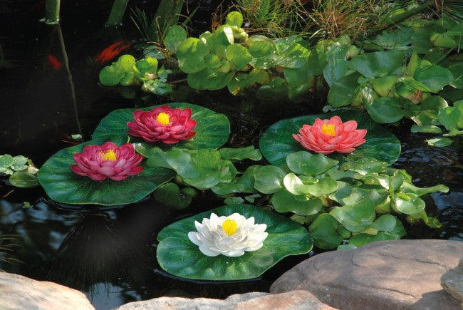 SET 3PZ NINFEE ARTIFICIALI COLORI E MISURE ASSORTITI PONDOLILY