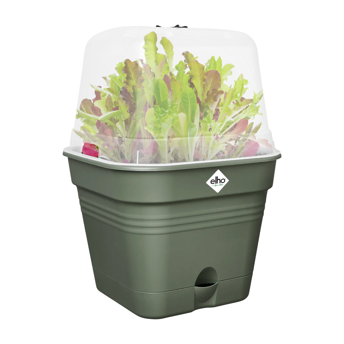 VASO DA COLTURA GREEN BASICS GROWPOT SQUARE ALLIN1 25CM LEAF GREEN