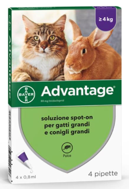 ADVANTAGE SOLUZIONE SPOT-ON PER GATTI E CONIGLI GRANDI