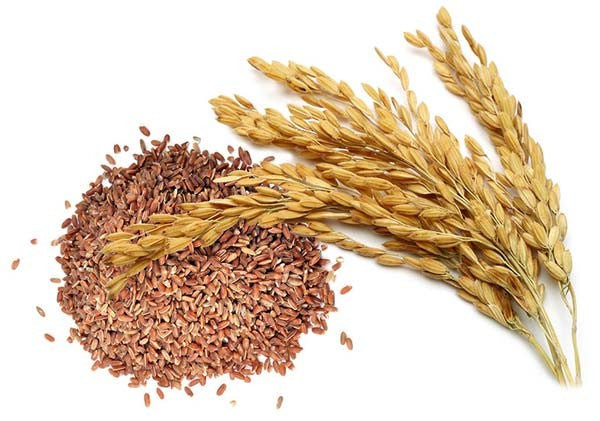 PARS RISO INTEGRALE SOFFIATO CON VERDURE-FRUTTA-ERBE 1 KG