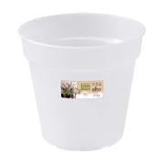 VASO ORCHIDEE GREEN BASICS ORCHID 13CM TRANSPARENT