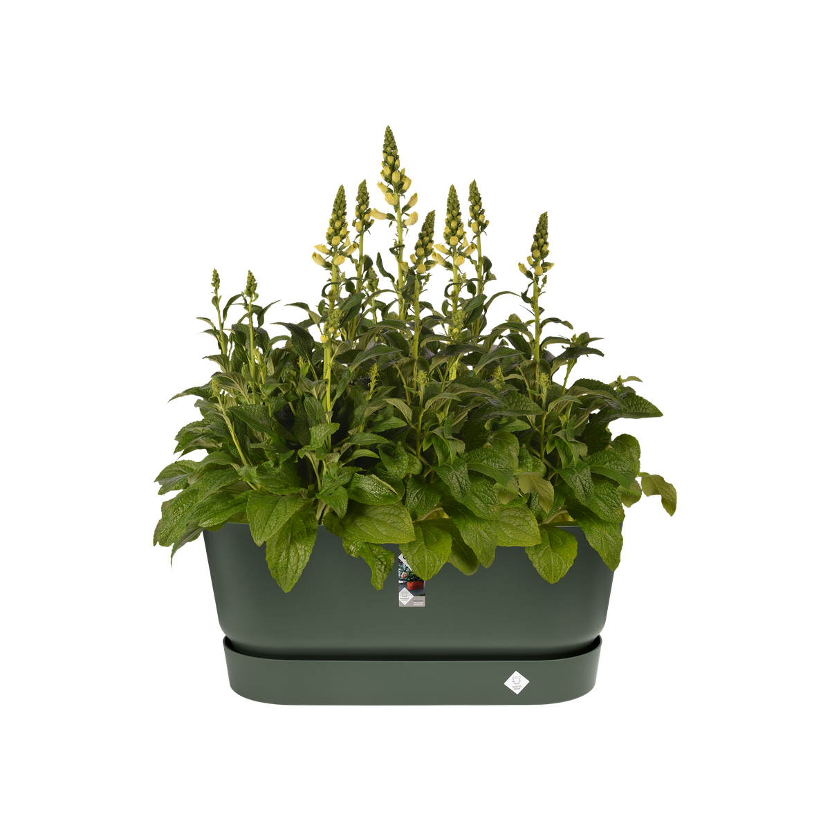 Fioriera Greenville Terrace Trough 80cm Ruote Verde ELHO