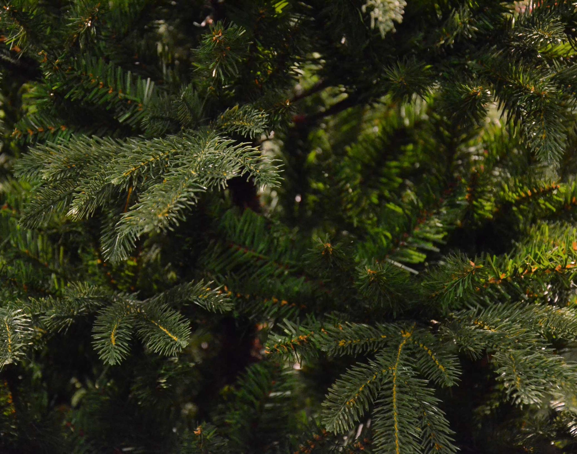 ALBERO DI NATALE GREENWICH 240CM VERDE