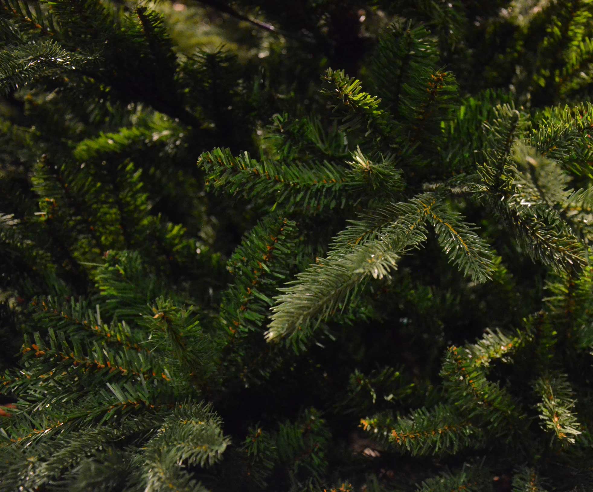 ALBERO DI NATALE GREENWICH VERDE ALTEZZA A SCELTA