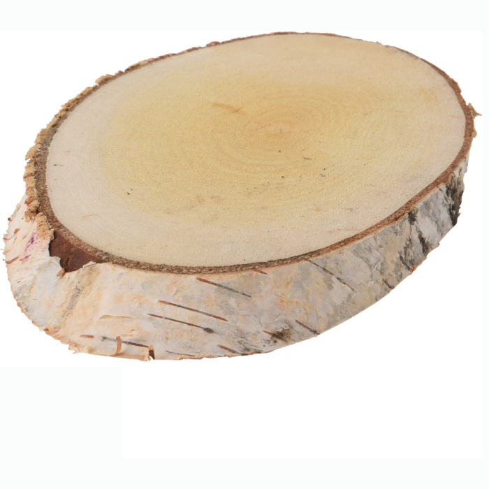DISCO IN LEGNO CON CORTECCIA, OVALE