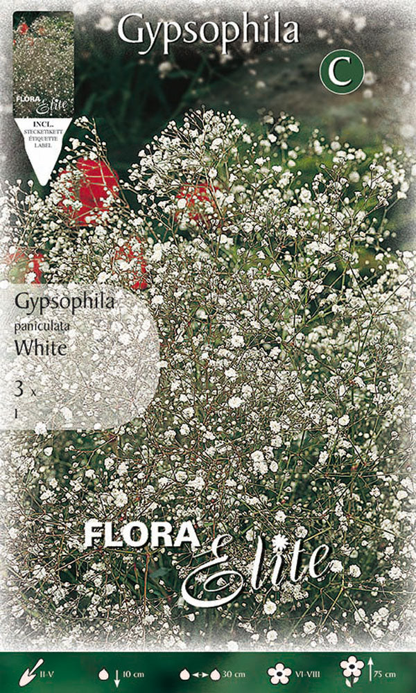 OFFERTA 18 BULBI GYPSOPHYLA PANICULATA BIANCA