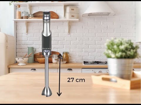 FRULLATORE A IMMERSIONE 800W