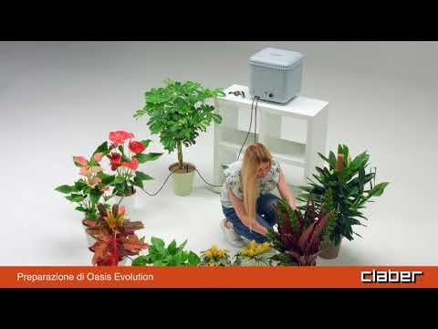 DISTRIBUTORE AUTOMATICO D’ACQUA OASIS EVOLUTION