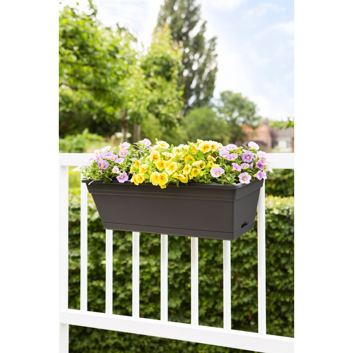 Fioriera da balcone con supporto e sottovaso 50x28x20 cm Antracite Florus