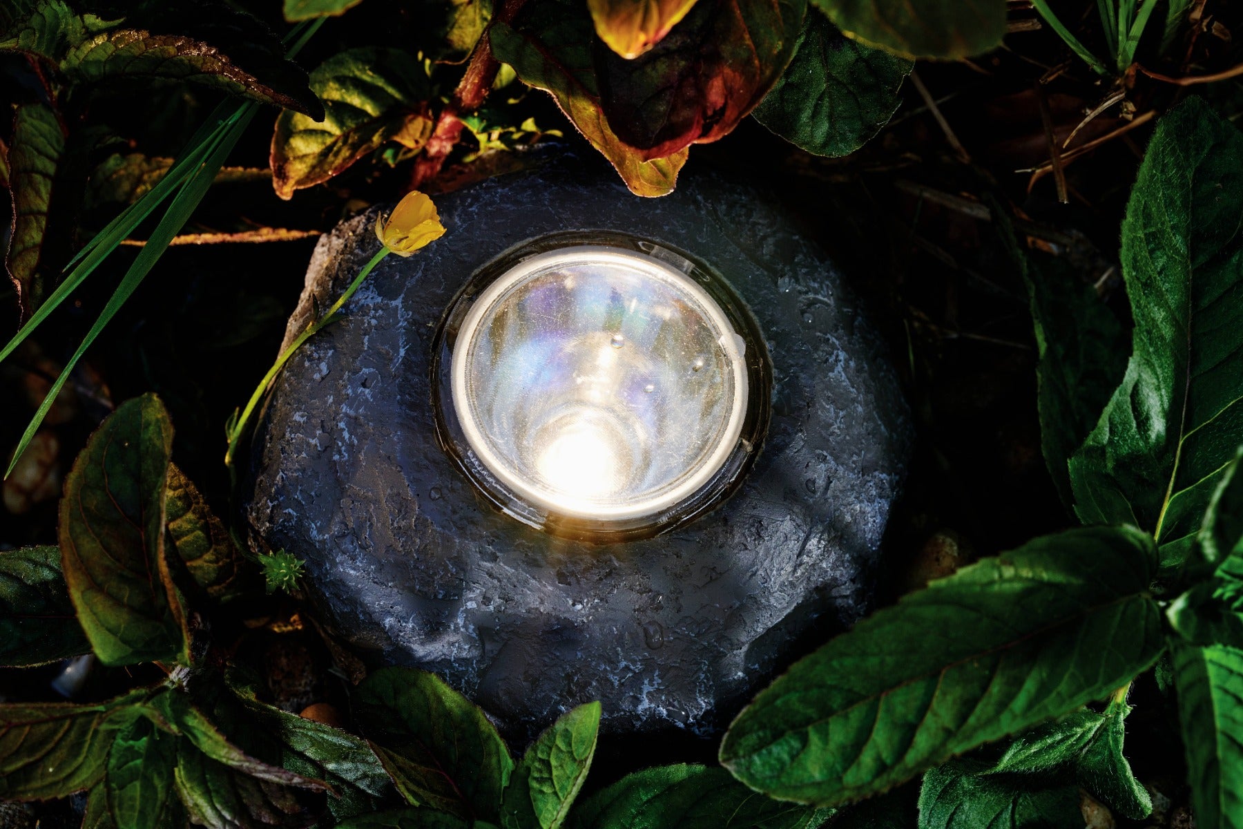 PONTEC PONDOSTAR LED ROCKLIGHT PER LAGHETTO