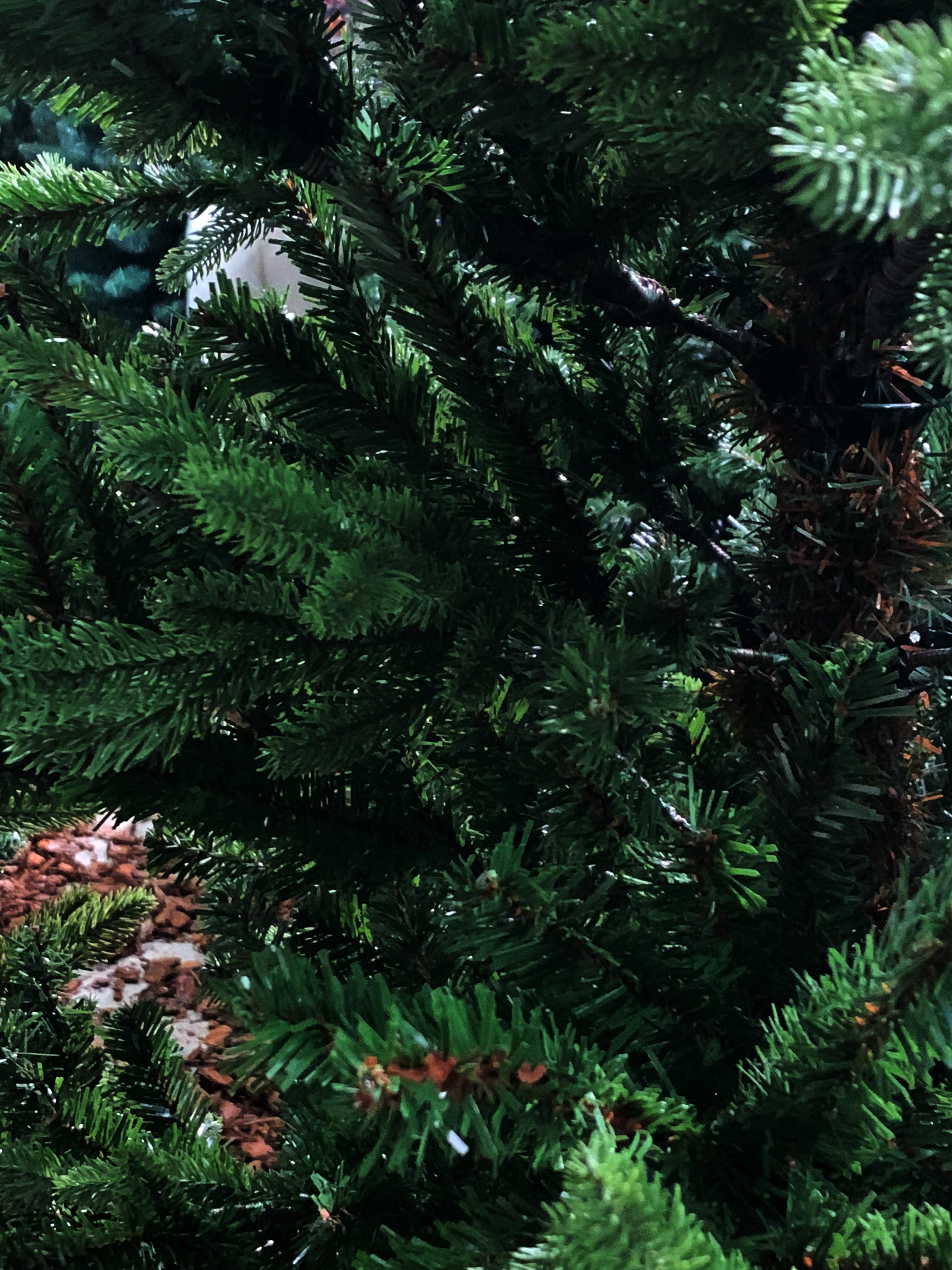 ALBERO DI NATALE MONTE ROSA VERDE SLIM 240CM
