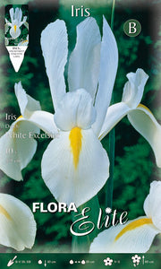 IRIS HOLLANDICA WHITE EXCELSIOR (CONFEZIONE DA 10 BULBI)