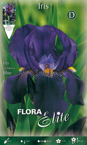 IRIS GERMANICA BLU (CONFEZIONE DA 1 BULBO)