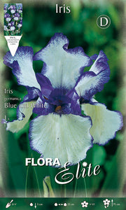 IRIS GERMANICA BLU E BIANCO (CONFEZIONE DA 1 BULBO)