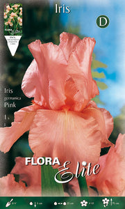 IRIS GERMANICA ROSE (PAQUET DE 1 BULBE)