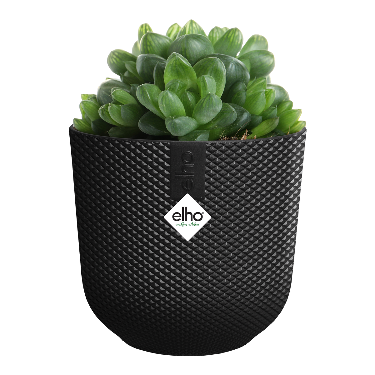 Vaso Jazz Round Mini D 11 x h 10 cm Nero ELHO