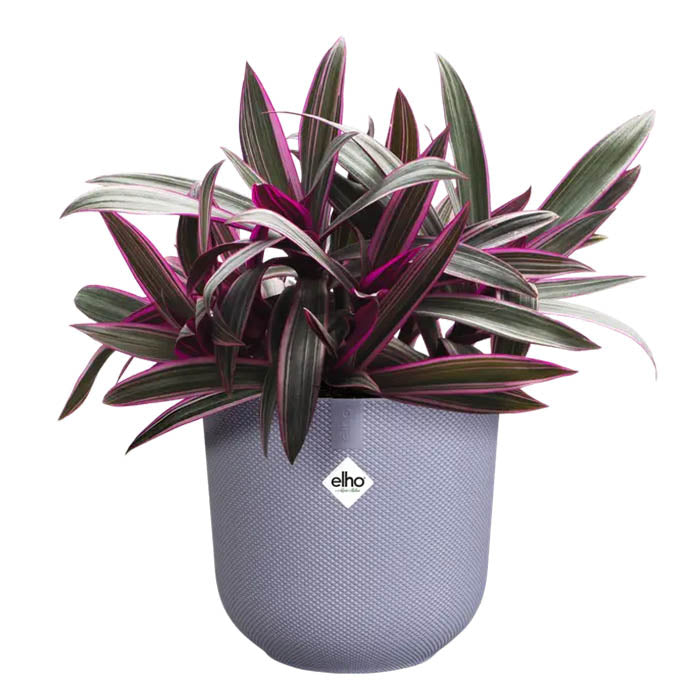 VASO JAZZ ROUND Ø14XH13CM LILLA