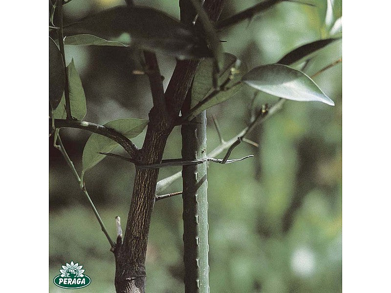 TUTORI IN ACCIAIO PLASTIFICATO PER ORTAGGI E PIANTE MM 8 X CM 90