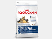 ROYAL CANIN MAXI STARTER PER CUCCIOLI