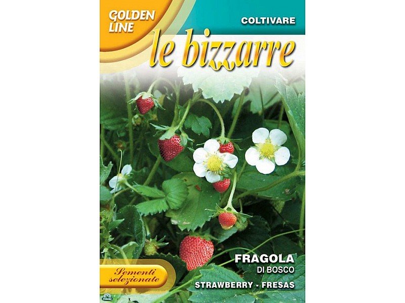 BUSTINA CON SEMI DI FRAGOLA DI BOSCO