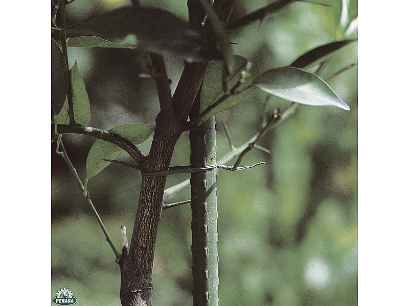 SUPPORTO IN ACCIAO TUTORE PER PIANTE MM 11 X CM  H120