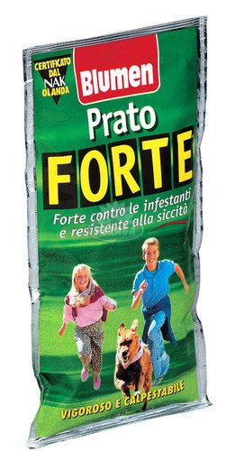 PRATO FORTE VIGOROSO E CALPESTABILE 200GR