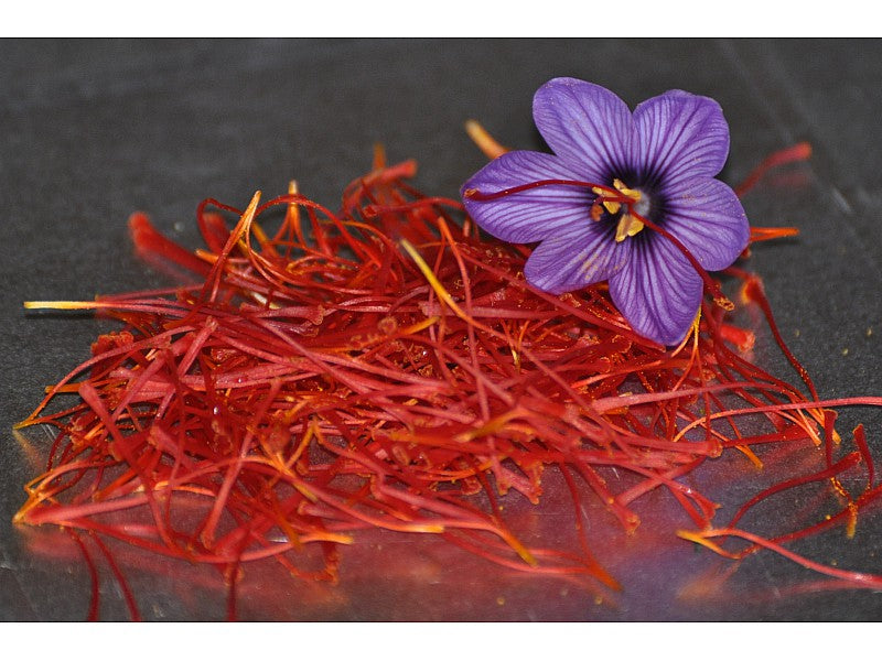 OFFERTA 2000 BULBI DI CROCUS SATIVUS ZAFFERANO