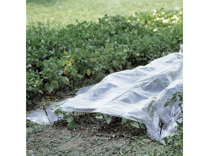 TELO DI PROTEZIONE E FORZATURA TRASPARENTE 2X5 METRI