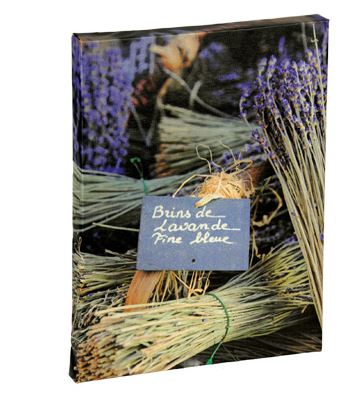 CANVAS 22X29CM LAVANDA STAMPE