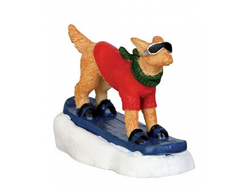 CANE SU SNOWBOARD - SNOWBOARDING DOG
