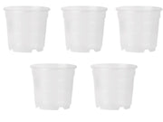 5 VASI PER ORCHIDEE Ø12CM TRASPARENTI