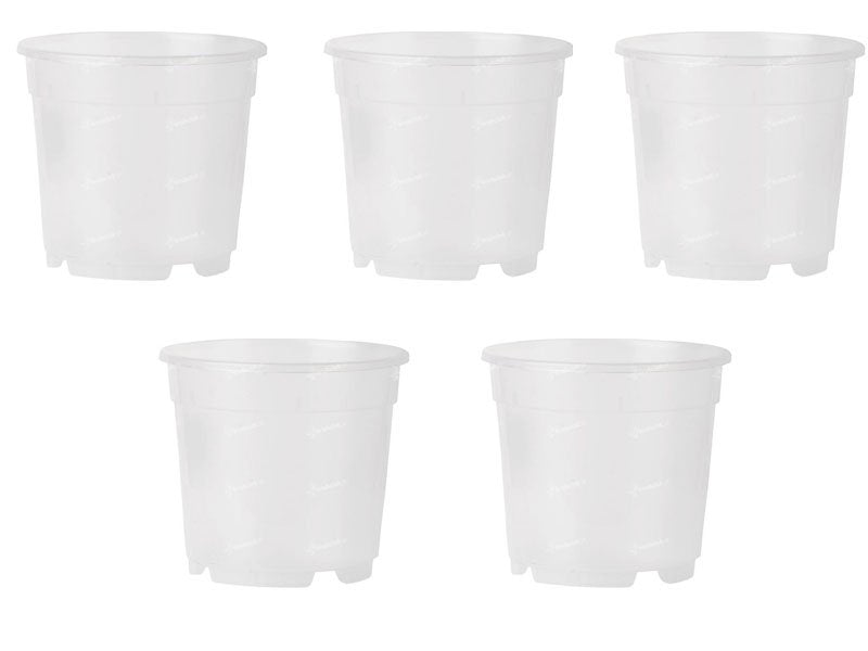 5 VASI PER ORCHIDEE Ø12CM TRASPARENTI