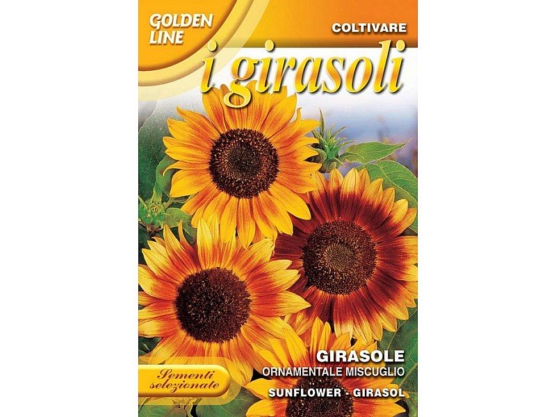 BUSTINA CON SEMI DI GIRASOLE ORNAMENTALE MISCUGLIO