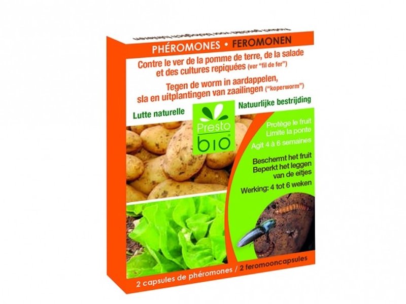 FEROMONI CONTRO IL VERME DELLA PATATA