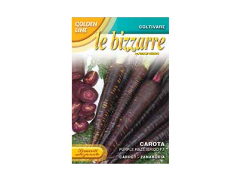 CAROTA VIOLA PURPLE HAZE IBRIDO F1