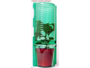 PIANTA DI POMODORO DATTERINO INNESTATO (IN VASO Ø14CM)