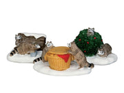 PROCIONI CURIOSI - RASCAL RACCOONS, SET OF 3