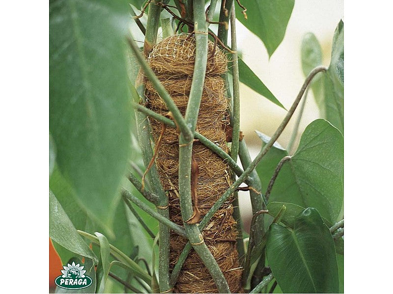 TUTORE MUSCHIATO PER PIANTE Ø MM 32, H CM 100