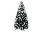 ALBERO SEMPREVERDE - EVERGREEN TREE