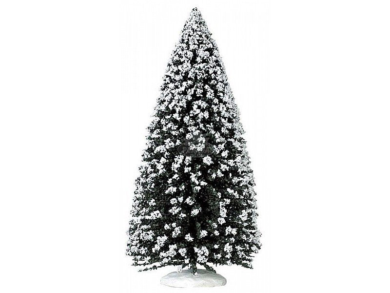 ALBERO SEMPREVERDE - EVERGREEN TREE