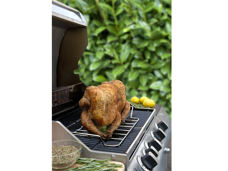 GRIGLIA REGGI POLLO DOPPIA
