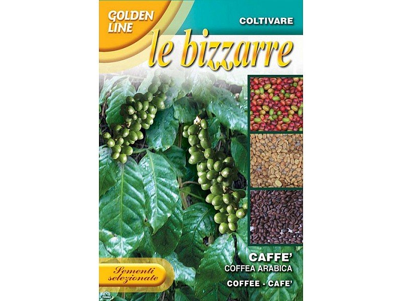 BUSTINA CON SEMI DI CAFFè ARABICO