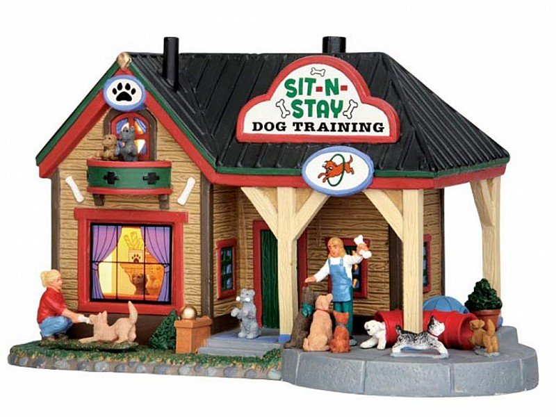 ADDESTRAMENTO CANI - SIT-N-STAY DOG TRAINING