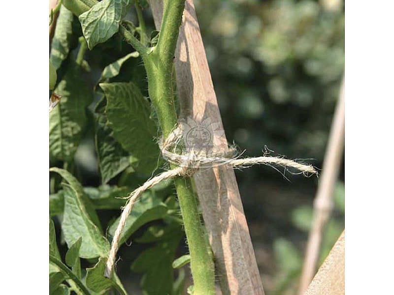 SPAGO PER LE PIANTE IN JUTA VERDE 50 METRI