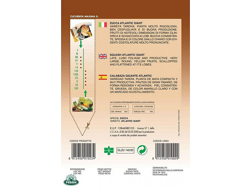 BUSTINA CON SEMI DI ZUCCA DA MARMELLATA