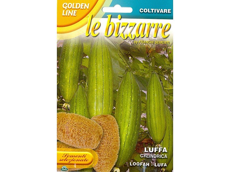 BUSTINA CON SEMI DI LUFFA CILINDRICA